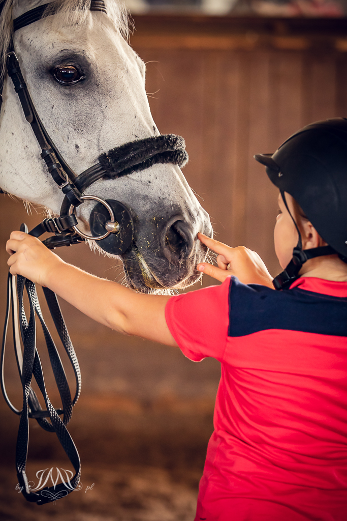 dziewczynka dotykająca nosa konia