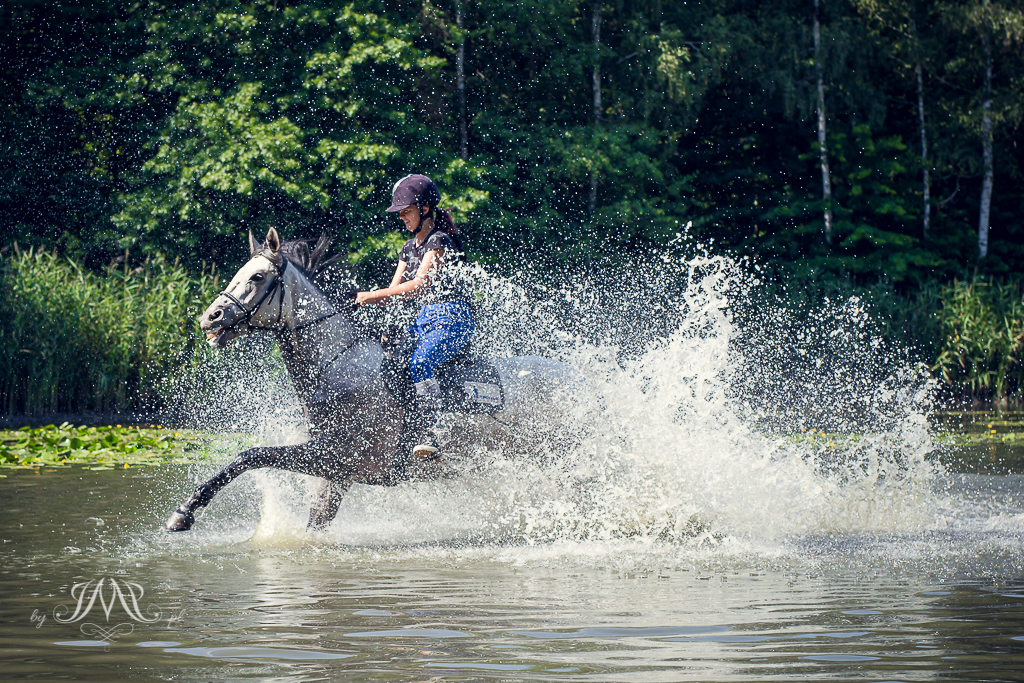biegnący koń w jeziorze