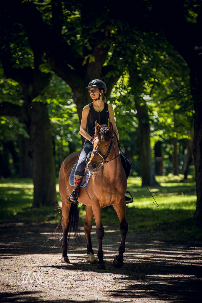 fotografia-koni-SK-Moszna jeździec na koni wśród drzew